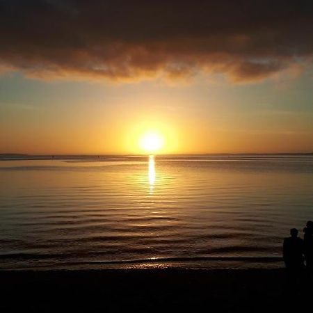 Mimosas Daire Andernos-les-Bains Dış mekan fotoğraf