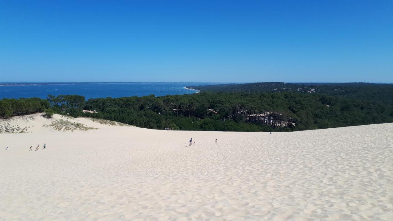 Mimosas Daire Andernos-les-Bains Dış mekan fotoğraf